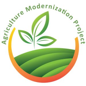 AMP-logo